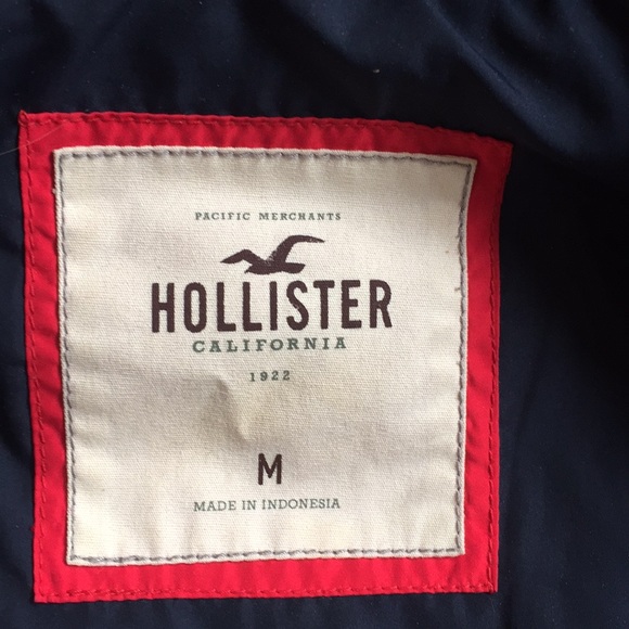 Hollister winter jacket - Picture 3 of 3